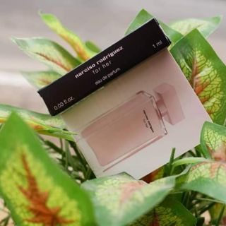 Mẫu thử nước hoa (vial) các loại
