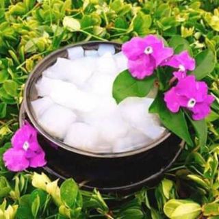 Combo Sỉ 5 Ký Thạch Dừa Thô