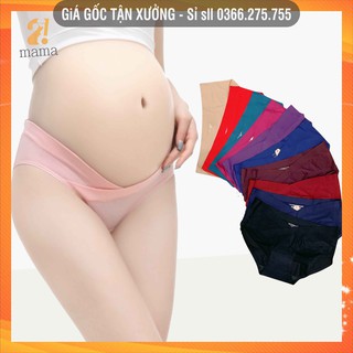 Quần lót bầu su đúc cạp chéo đẹp - Quần chíp bầu - V22