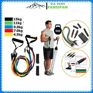 Dây kháng lực tập gym, tập mông, power band đa năng, dây ngũ sắc, dây tập gym, mông chân Fansipan
