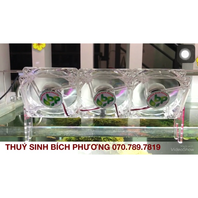 QUẠT TRONG SUỐT TẢN NHIỆT LÀM MÁT HỒ THUỶ SINH - SIÊU ÊM - THẨM MỸ