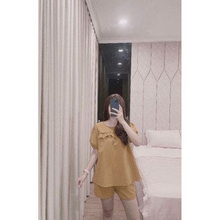 SET BỘ BÈO NGỰC TAY BỒNG