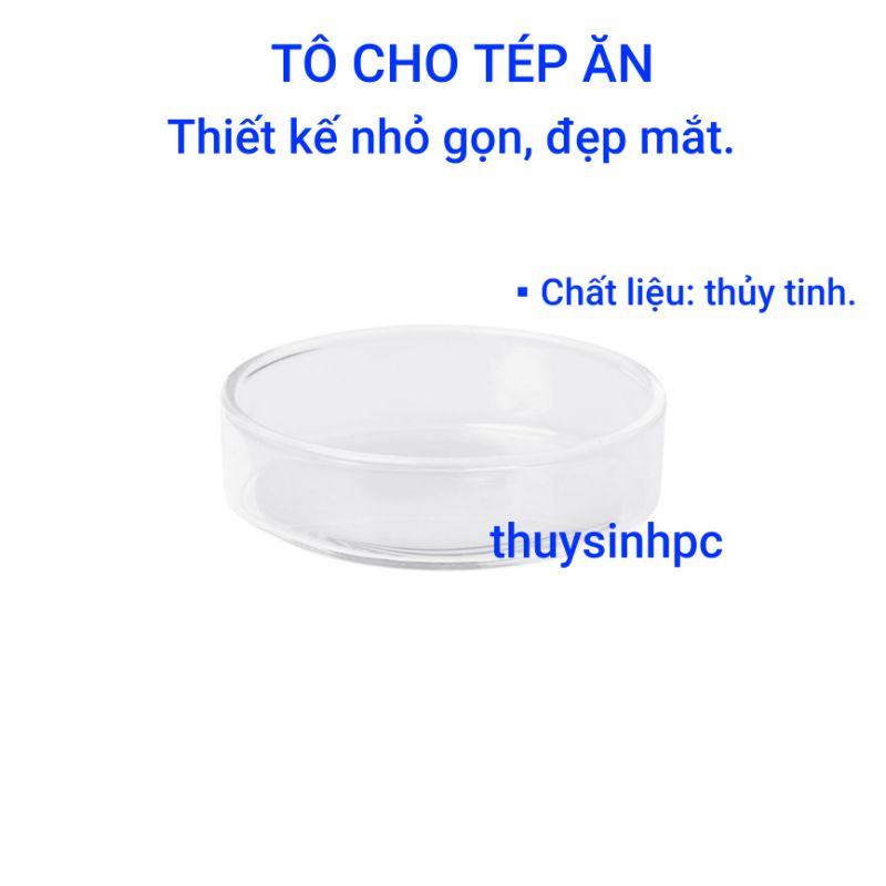 Khay đĩa thức ăn cho cá tép cảnh