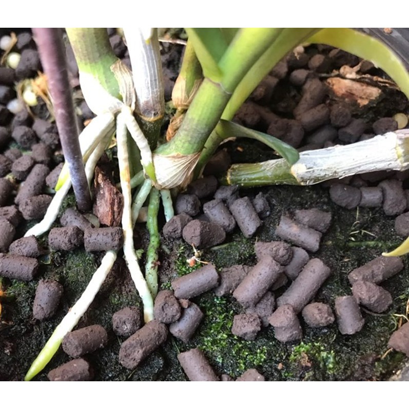 Phân trùn quế nén viên túi 1kg, hàng Đặng Gia Trang