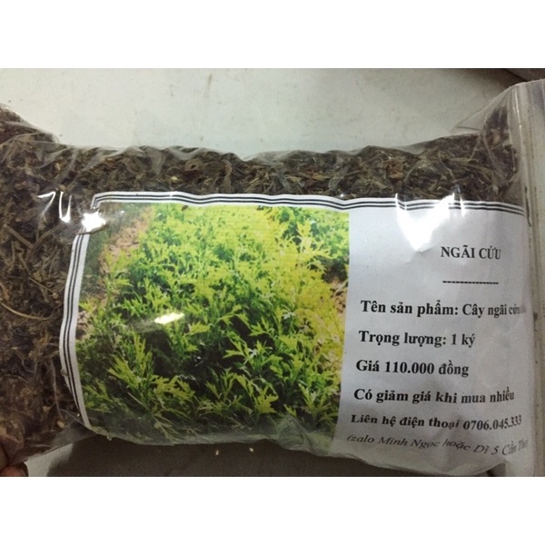 Cây ngãi cứu 500 gam phơi khô nhà làm sạch sẽ