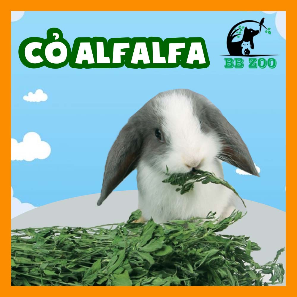 Cỏ khô Alfalfa thường ⚡️⚡️FREE SHIP⚡️⚡️ Kiện Anderson Cỏ Khô Alfalfa Thức Ăn Cho Thỏ, Bọ, Chinchillas