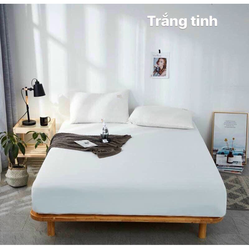 Bộ ga vỏ gối, chất liệu cotton Tici nhập khẩu MD.Decor - Chăn ga gối miễn phí may bo chun M4,M6,M8