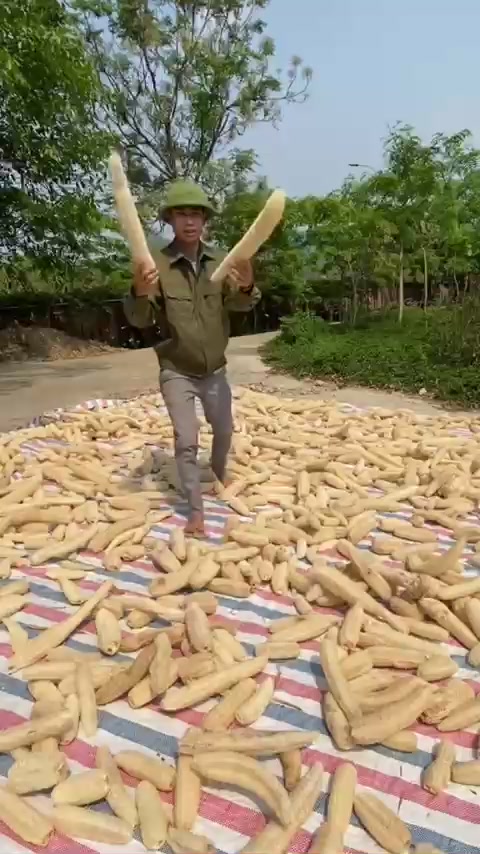 Xơ Mướp Sinh Dược Xơ Mướp Tắm Tẩy Tế Bào Chết, Sơ mướp Rửa Chén, Bông Tắm, Xuất Khẩu | BigBuy360 - bigbuy360.vn