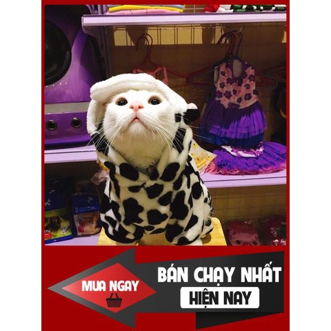 [❌GIÁ SỈ❌] [ SALE SOCK ]Áo Cosplay cho chó mèo giao ngẫu nhiên 0 ❤️