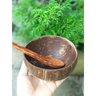 Combo 6 chén gáo dừa + 6 muỗng gỗ dừa