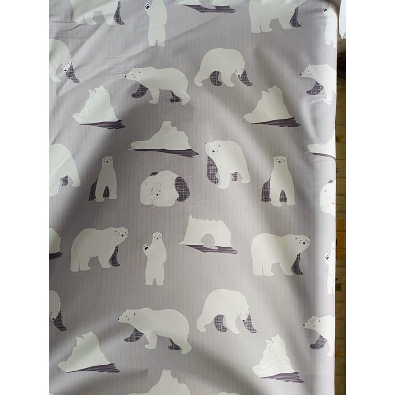 5m vải cotton lụa Hàn quốc khổ m6 chuyên dùng may drap-gấu Bắc cực