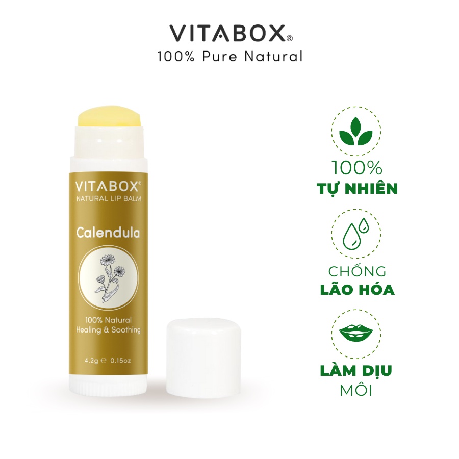 Son dưỡng không màu Calendula VITABOX - 100% tự nhiên, dưỡng ẩm lâu không thâm môi