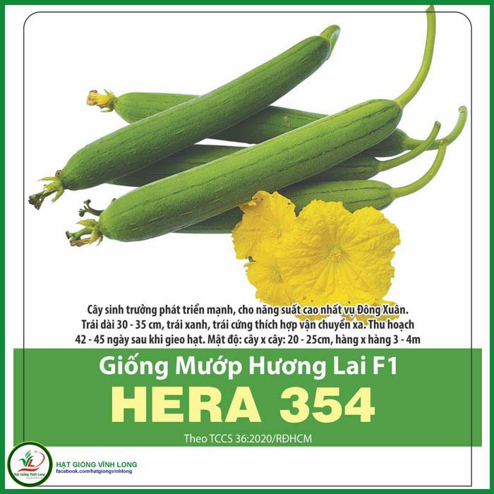 Hạt giống Mướp hương lai F1 HERA 354 - 1g