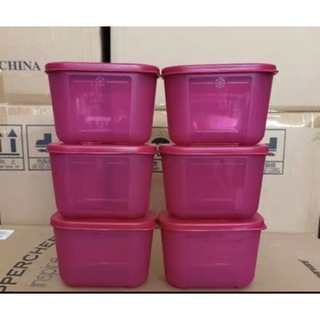 Hộp trữ đông Tupperware 300ml, hộp đựng cánh tủ
