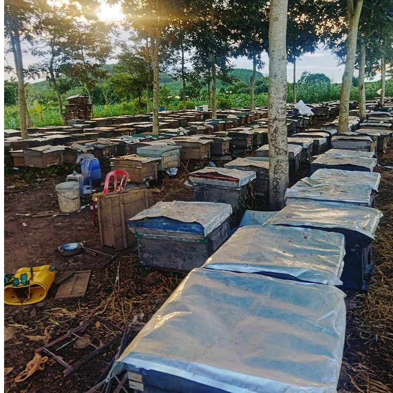 Sữa Ong Chúa Tươi Nguyên Chất Hũ 120G