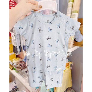 sale combo 2b bamboo sợi tre lullaby
