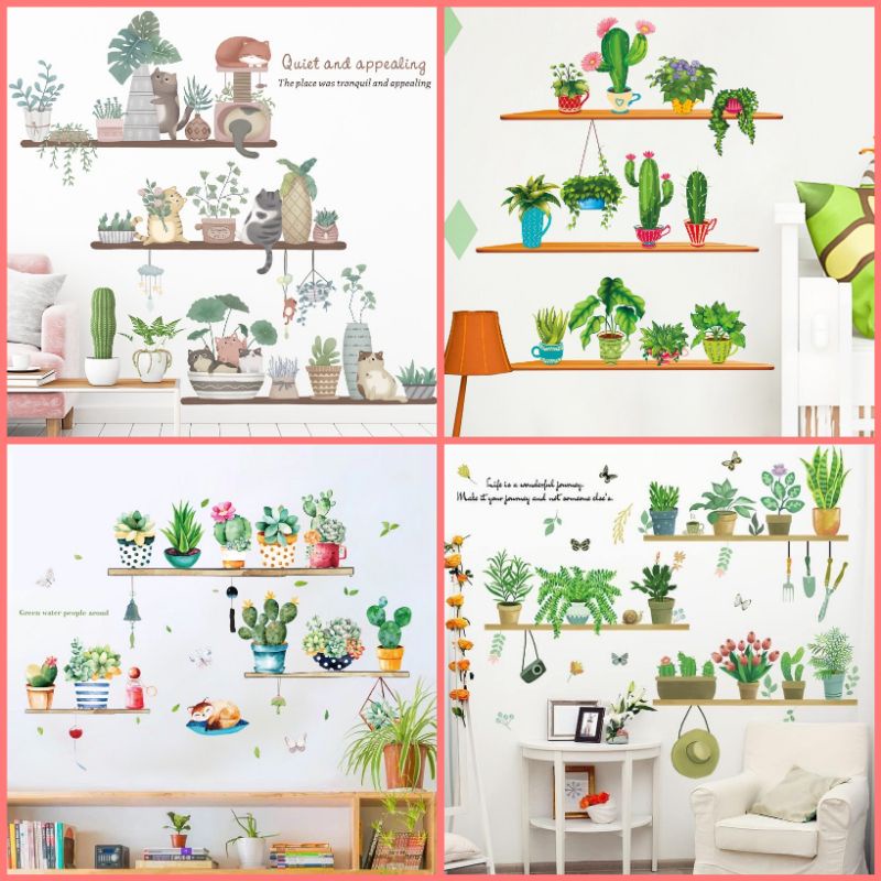 Decal dán tường chậu cây trên kệ