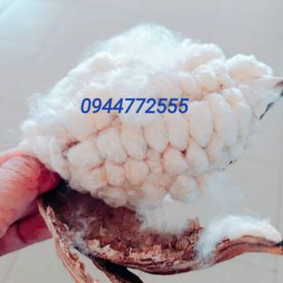 Gòn tự nhiên  1kg giá 130k
