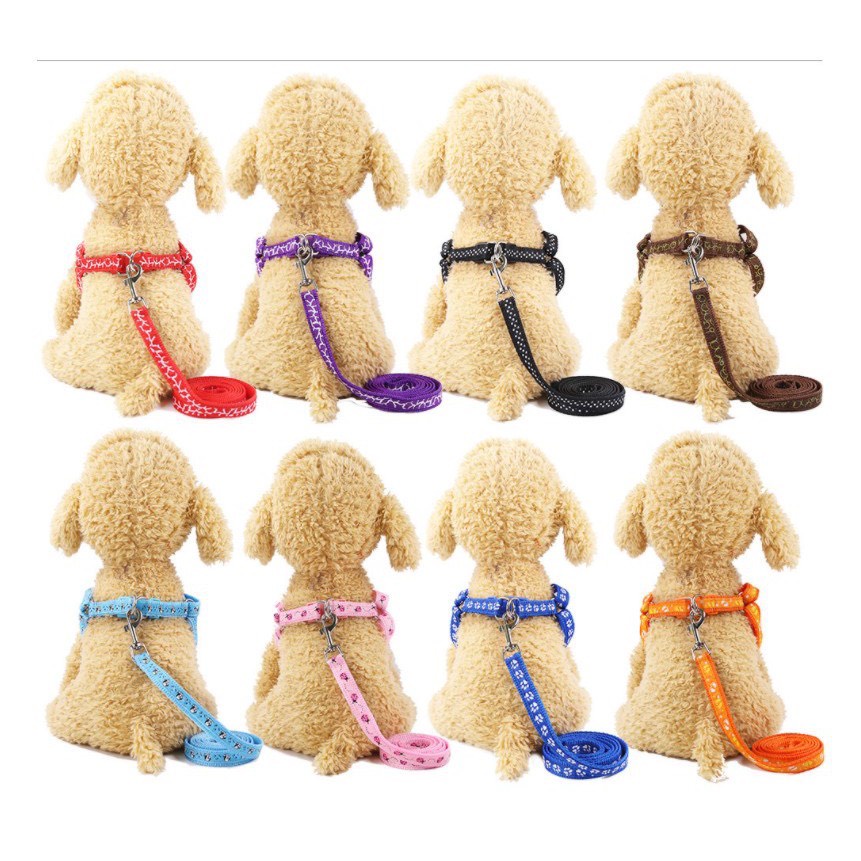 Dây Dắt Chó Mèo Dạng Yếm Cute | Vie PETSHOP