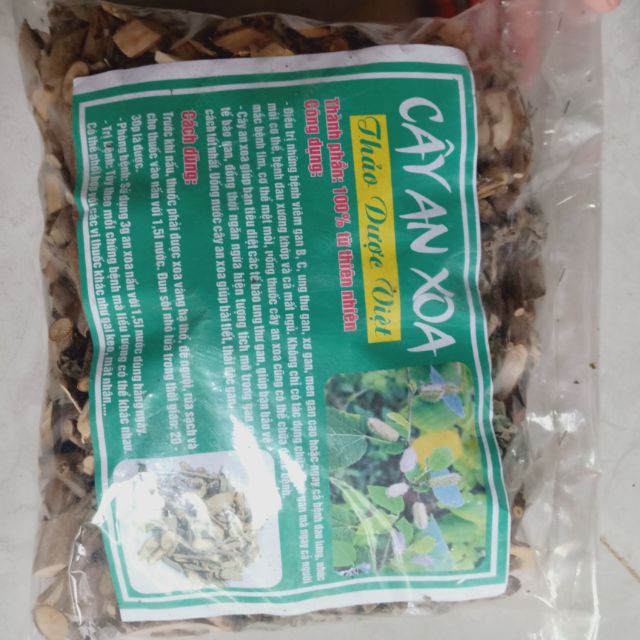Cây An Xoa chữa bệnh gan