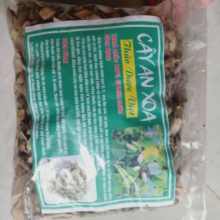 Cây An Xoa chữa bệnh gan