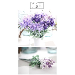Hoa giả - Hoa Lavender