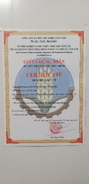 500gram Hạt Macca Organic ĐăkLăk size A (sấy lạnh) có ATTP (hạt mắc ca) | BigBuy360 - bigbuy360.vn