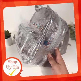 Balo xuất- Balo nhựa nhũ kim tuyến, kích thước: 26*21*10cm