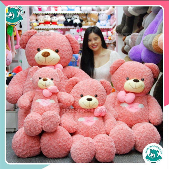 Gấu Bông Teddy Cao Cấp Angel hồng lông xoắn 80cm - 1m1 - 1m3 - 1m6. Quà tặng Đẹp và ý nghĩa.