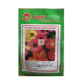 Hạt giống hoa đồng tiền mix F1 10 hạt