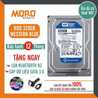 Ổ cứng HDD WD Blue 320GB - Tháo máy đồng bộ nhập khẩu mới 99% - Bảo hành chính hãng 12 tháng 1 đổi 1