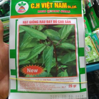 Hạt giống rau đay đỏ cao sản giá 10k/ gói