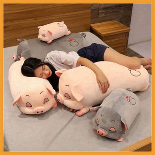 Gấu bông gối ôm con heo lợn ôm ngủ mềm mịn loại to size 35cm - 110cm