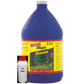 Phân bón Vitamin B1 Liquinox Start 100ml