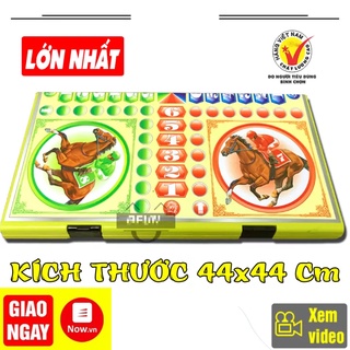 BỘ CỜ CÁ NGỰA NHỰA MICA LỚN GẤP GỌN