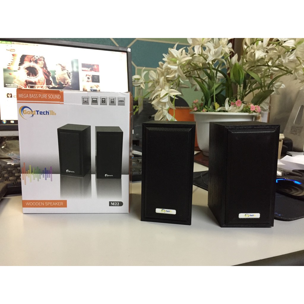 Bộ 2 loa gỗ vi tính Goldtech M22