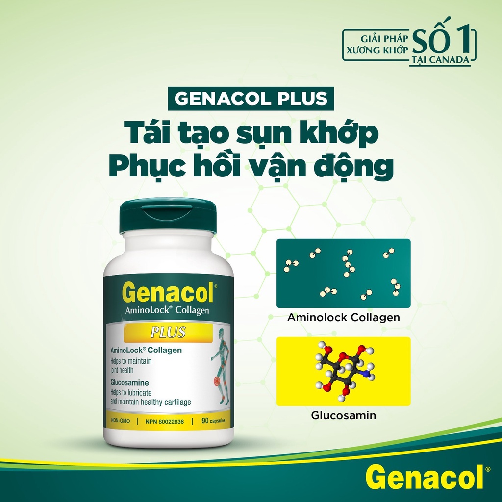 Genacol thực phẩm cho xương khớp, hỗ trợ tái tạo sụn khớp hạn chế cứng khớp do thoái hóa - Canada