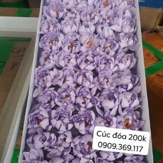 Hoa sáp thơm  (50 bông/ hộp)