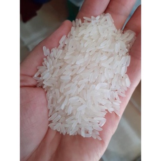 Gạo Thơm Lài 🍚 𝐁𝐀𝐎 𝟏𝟎𝐊𝐆 🍚Gạo Jasmine dẻo mềm cơm