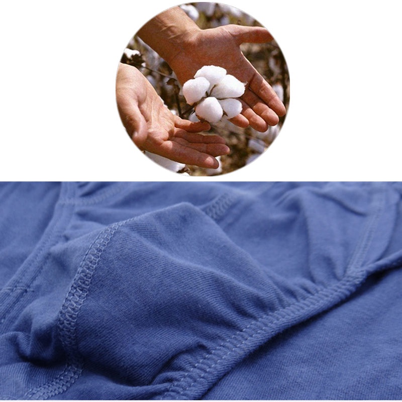 Quần lót cotton nhiều kích thước M-5XL cho nam