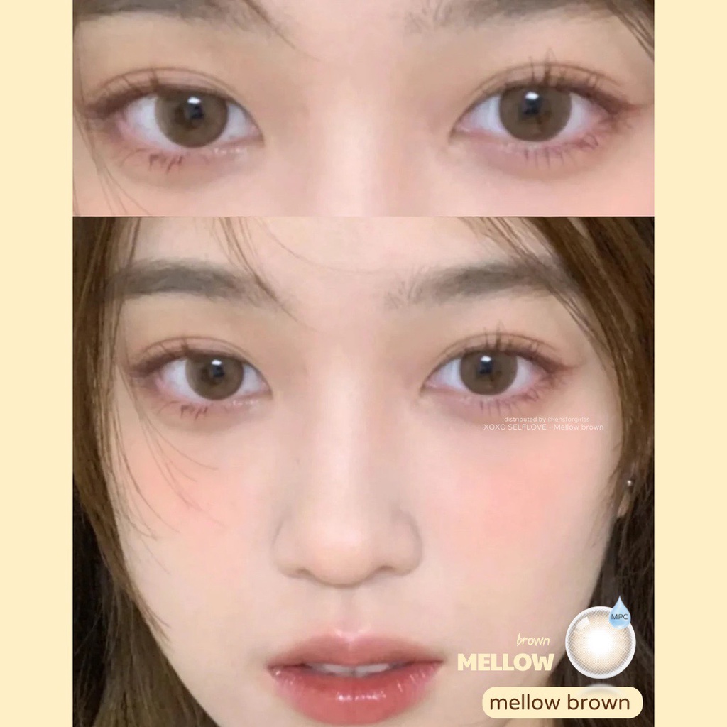 Kính áp tròng nâu trong tự nhiên MELLOW BROWN - MPC dành cho mắt nhạy cảm | Hsd 6 tháng | Lens cận