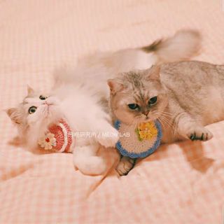 Yếm len handmade cho các pet cưng