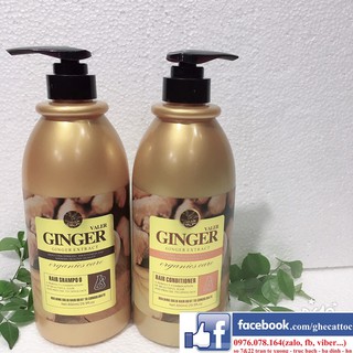 DẦU GỘI XẢ GỪNG TINH CHẤT CỦ GỪNG GINGER