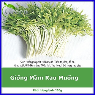 Hạt mầm rau muống 100gr