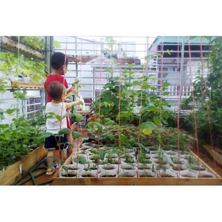 Túi Vải Trồng Cây Đủ Kích Thước