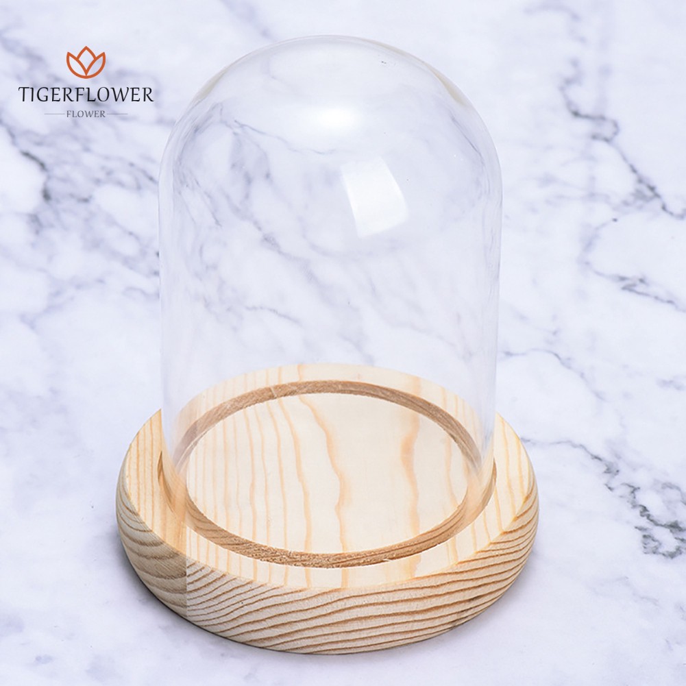 Giá đỡ trưng bày đồng hồ đeo tay tiện lợi