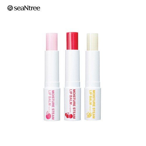Son dưỡng môi có màu SEANTREE MOISTURE STEAM LIP BALM (Stick) 3.2g | BigBuy360 - bigbuy360.vn