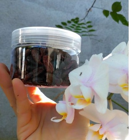 Cacao nguyên chất
