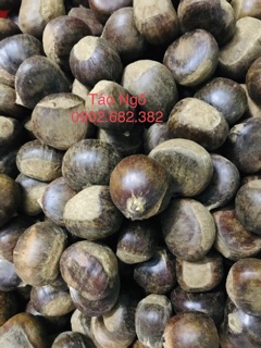 Hạt dẻ rừng (combo 5kg)