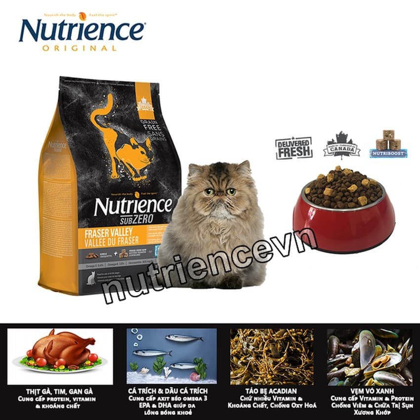 [DINH DƯỠNG CAO] Thức Ăn Hạt Cho Mèo Nutrience Subzero Bao 500g - Thịt Gà, Cá Hồi, Cá Trích, Cá Tuyết, Cá Đại Dương,Rau